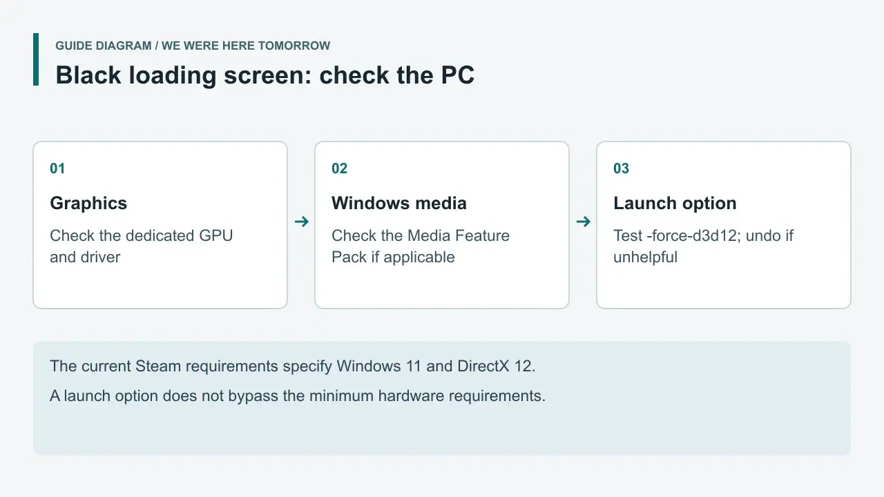 Guide diagram covering graphics hardware, Windows media components and a reversible launch-option test